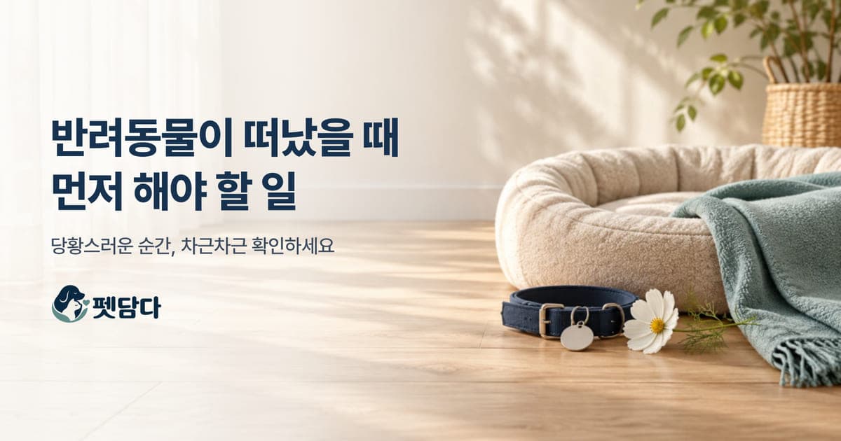 따뜻한 햇살 아래 빈 목줄과 작은 꽃이 놓인 조용한 추모 공간