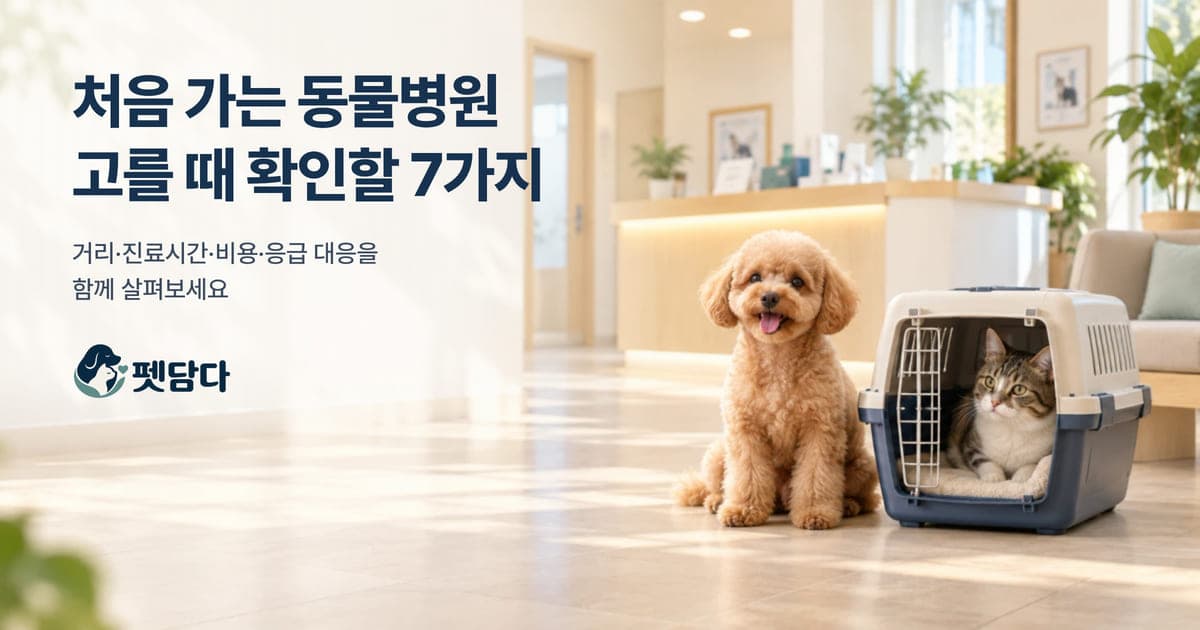 햇살 드는 동물병원 접수대 앞에 앉아 있는 갈색 푸들과 이동장 안에서 쉬는 고양이