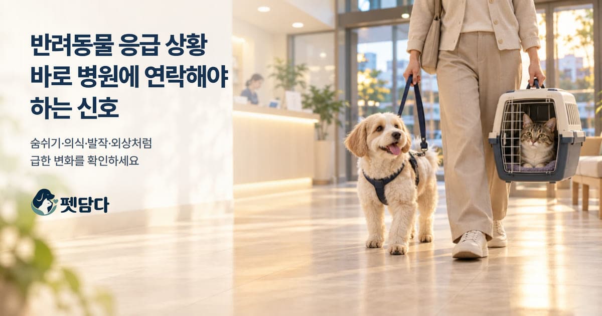 햇살 드는 동물병원 로비에서 보호자와 함께 걸어 들어오는 강아지와 이동장 안의 고양이