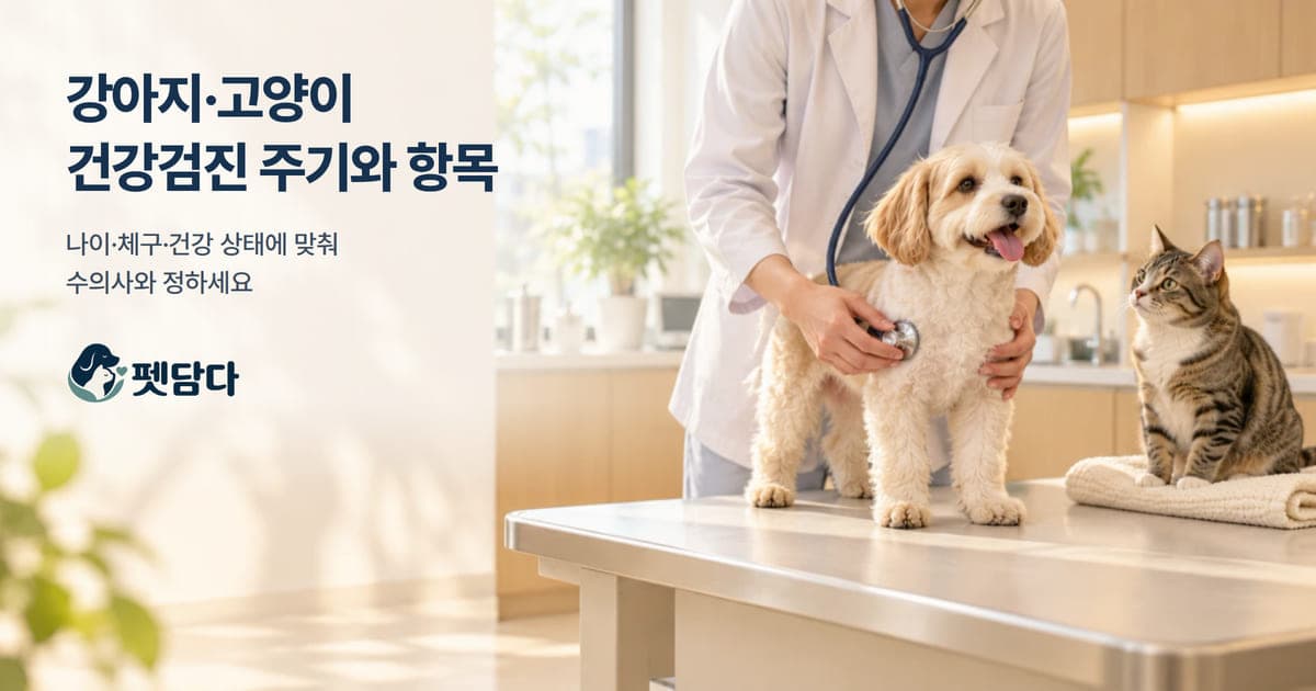 밝은 진료실에서 수의사가 청진기로 강아지를 진찰하고, 옆에서 고양이가 지켜보는 모습