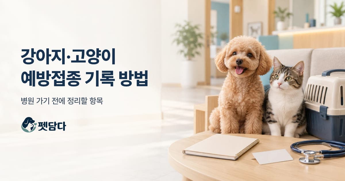 햇살 드는 실내에서 수첩과 청진기 옆에 나란히 앉은 강아지와 고양이
